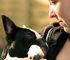 Französische Bulldogge Foto: Das ist Liebe! (ID 38003) Französische Bulldogge Hund