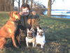 Französische Bulldogge Foto: Alle meine Hunde (ID 25514) Französische Bulldogge Hund