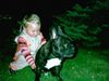 Französische Bulldogge Hund