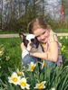 Französische Bulldogge Foto: freunde für immer... (ID 38988) Französische Bulldogge Hund