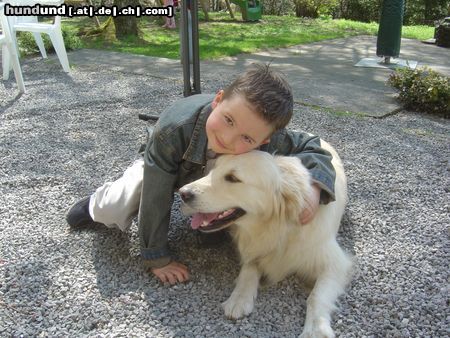 Golden Retriever Hunde Foto 12293 Golden Retriever Wir sind die besten Freunde!