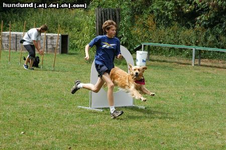 Golden Retriever Hunde Foto 9194 Golden Retriever jella beim THS Training