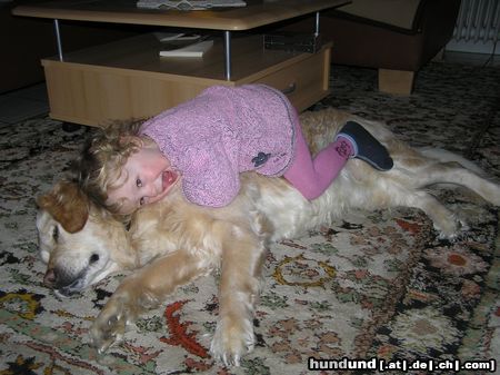 Golden Retriever Hunde Foto 20261 in höherer Auflösung ansehen Golden Retriever zwei Goldies (zwei und vierbeinig)