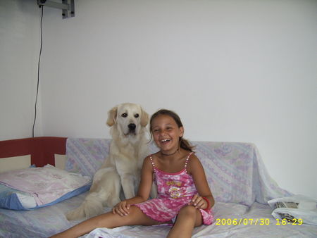 Golden Retriever Hunde Foto 37517 Golden Retriever LEA UND DIJANA