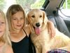 Golden Retriever Foto: Friends :o) (ID 13722) Golden Retriever Hund