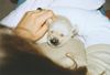 Golden Retriever Foto: Gina 11 tage alt (ID 27268) Golden Retriever Hund