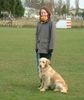 Golden Retriever Foto: In der Schule (ID 1273) Golden Retriever Hund