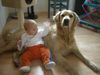 Golden Retriever Foto: Aiko mit Leonie (ID 40943) Golden Retriever Hund
