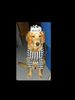 Golden Retriever Foto: Unsere Celina im Fasching als Sträfling (ID 11022) Golden Retriever Hund