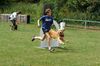 Golden Retriever Foto: jella beim THS Training (ID 9194) Golden Retriever Hund