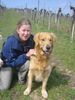 Golden Retriever Foto: Traumpaarung (ID 19917) Golden Retriever Hund