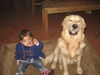 Golden Retriever Foto: Madlin und Anton teilen sich alles (ID 40791) Golden Retriever Hund