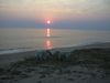 Golden Retriever Foto: Nico aus Tirol und Freund Iker aus Madrid an der Costa de la Luz (ID 5956) Golden Retriever Hund
