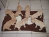 Golden Retriever Foto: Mittagessen (ID 16632) Golden Retriever Hund