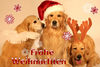 Golden Retriever Foto: Die drei Weihnachtshunde (ID 35872) Golden Retriever Hund