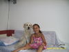 Golden Retriever Foto: LEA UND DIJANA (ID 37517) Golden Retriever Hund