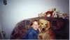 Golden Retriever Foto: das bin ich (ID 1253) Golden Retriever Hund