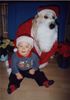 Golden Retriever Foto: Weihnachtspaar Gero und Luca (ID 8659) Golden Retriever Hund