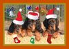 Gordon Setter Hund