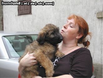 Gos d´Atura Català Hunde Foto 7901 Gos d´Atura Català Gos d\' Atura Català Welpe 2003