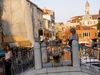Gos d´Atura Català Foto: Rico in Venedig (ID 24222) Gos d´Atura Català Hund