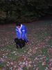 Gos d´Atura Català Foto: super Herbst (ID 15774) Gos d´Atura Català Hund