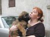 Gos d´Atura Català Foto: Gos d\' Atura Català Welpe 2003 (ID 7901) Gos d´Atura Català Hund