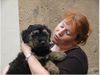 Gos d´Atura Català Foto: Gos d' Atura Català Welpe 2003 (ID 7900) Gos d´Atura Català Hund