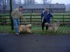 Gos d´Atura Català Foto: Dschowo's Rico+ Dschowo's Elio (ID 17238) Gos d´Atura Català Hund