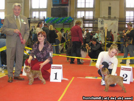 Griffon Bruxellois Hunde Foto 25757 Griffon Bruxellois AIKEMUNO - www.aikemuno.spb.ru