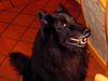 Groenendael Foto: Das bin ich, Gera (ID 16600) Groenendael Hund