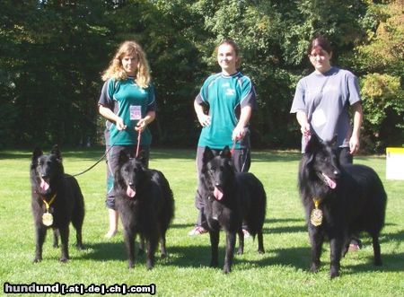Groenendael Hunde Foto 16618 in höherer Auflösung ansehen Groenendael Verwandtschaft