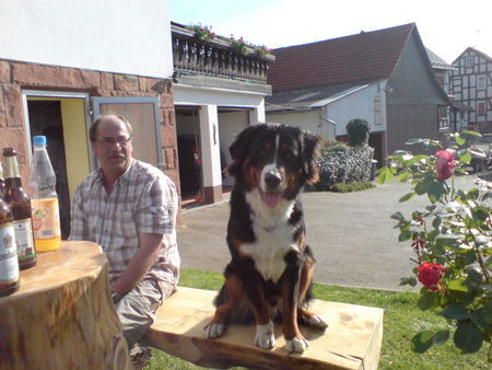 Grosser Schweizer Sennenhund Unser Balou grüßt seine Eltern und den Rest des Wurfes vom 08.08.06
