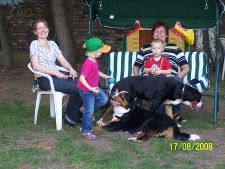Grosser Schweizer Sennenhund Hunde Foto 43401 Grosser Schweizer Sennenhund Wir