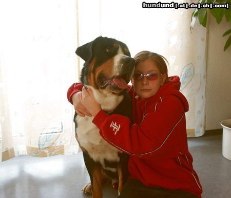 Grosser Schweizer Sennenhund Hunde Foto 9911 Grosser Schweizer Sennenhund Napoleon mit unserer Tochter