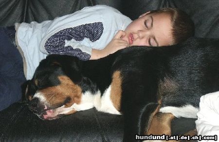 Grosser Schweizer Sennenhund Hunde Foto 9736 Grosser Schweizer Sennenhund Ufo des Joueses Gambades sleeps with our son Mikkel