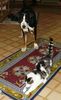 Grosser Schweizer Sennenhund Foto: Leo und Kater Mikesch (ID 10447) Grosser Schweizer Sennenhund Hund