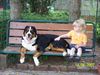 Grosser Schweizer Sennenhund Foto: Balou u. Anna beim (ID 39355) Grosser Schweizer Sennenhund Hund