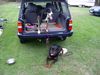 Grosser Schweizer Sennenhund Foto: Wilma mit Tyson (ID 11268) Grosser Schweizer Sennenhund Hund