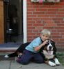 Grosser Schweizer Sennenhund Foto: Bruno (3J.) der Kinderfreund! (ID 35741) Grosser Schweizer Sennenhund Hund