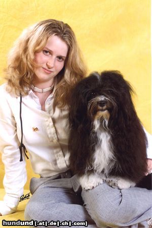 Havaneser Hunde Foto 3918 Havaneser Handler Claudia Nowak & Jespersen`s Don Quixote * WORLDDOGSHOW 2003 *