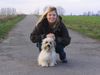 Havaneser Foto: Bonito vom Salzetal und Claudia (ID 12485) Havaneser Hund