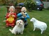 Havaneser Foto: So! Und jetzt alle recht freundlich! :o) Oma, du auch! (ID 13383) Havaneser Hund