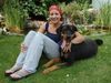 Hovawart Foto: BALOU, 7 Jahre, im Sommer geschoren, hervorragender Familienhund (ID 17785) Hovawart Hund