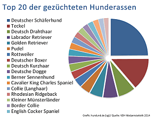 Hunderassenzucht Statistik