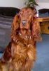 Irish Red Setter Foto: Arielle vom Talismann (ID 18624) Irish Red Setter Hund