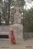 Irish Red Setter Foto: San Diego vorm Denkmal (ID 7077) Irish Red Setter Hund