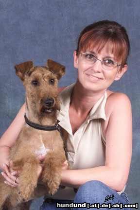 Irish Terrier Hunde Foto 5342 Irish Terrier Na sind wir nicht ein tolles Paar