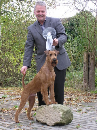 Irish Terrier Jahrhundertsieger 2006