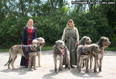 Irish Wolfhound Mittelater Spectakel Hamburg 27.06.2010